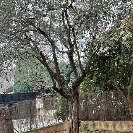 Cosy Avec Jardin